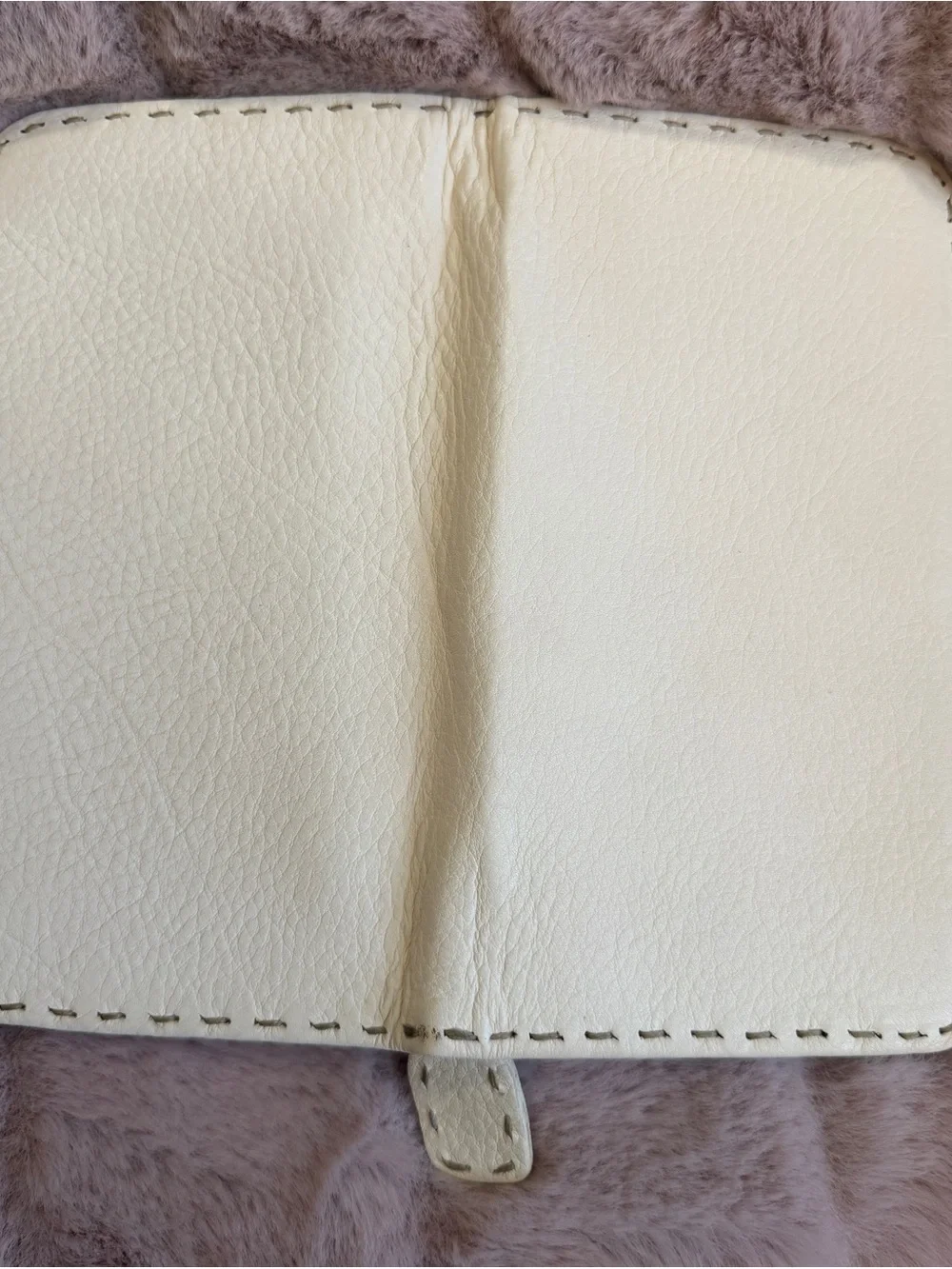 Fendi Silver Logo Plaque on Cream Leather